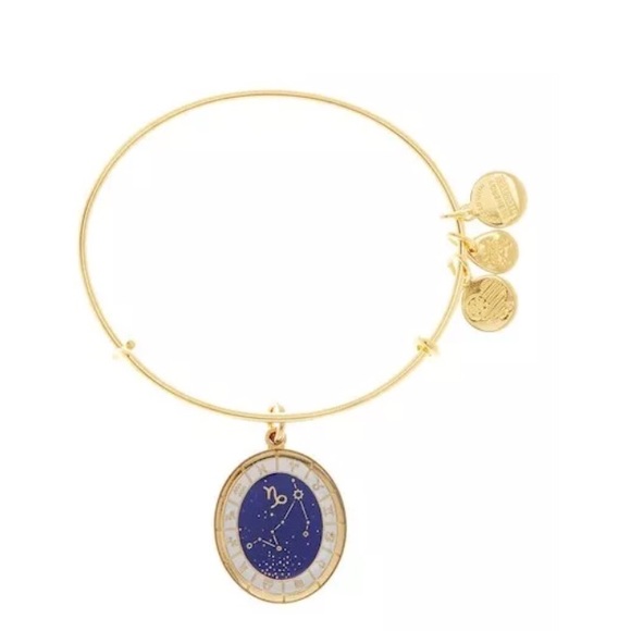 Alex and Ani Capricorn Constellation Bangle - Picture 1 of 3